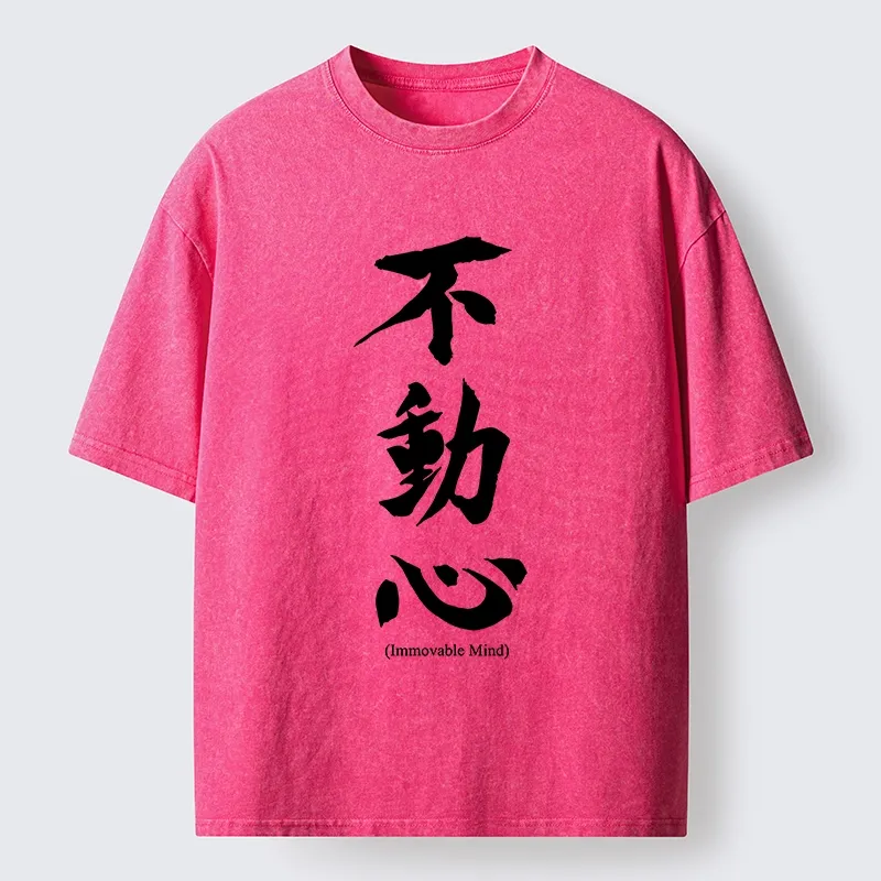 Tokyo-Tiger Fudoshin Art Of Calm Mind Washed T-Shirt