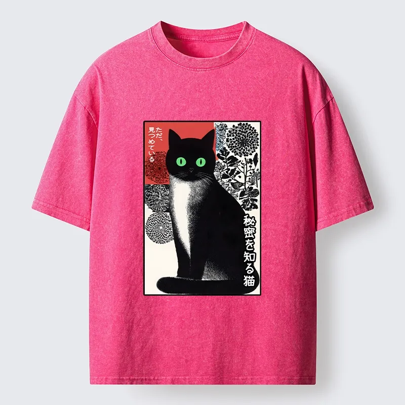 Tokyo-Tiger Japanese Style Secret Cat Meme Washed T-Shirt