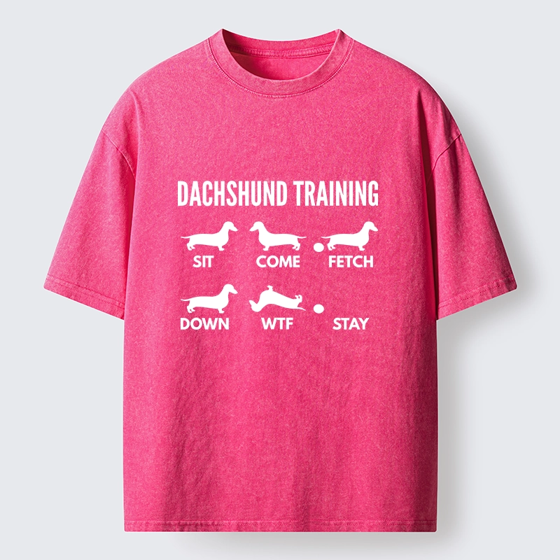 Tokyo-Tiger Chaotic Dachshund Commands Meme Washed T-Shirt