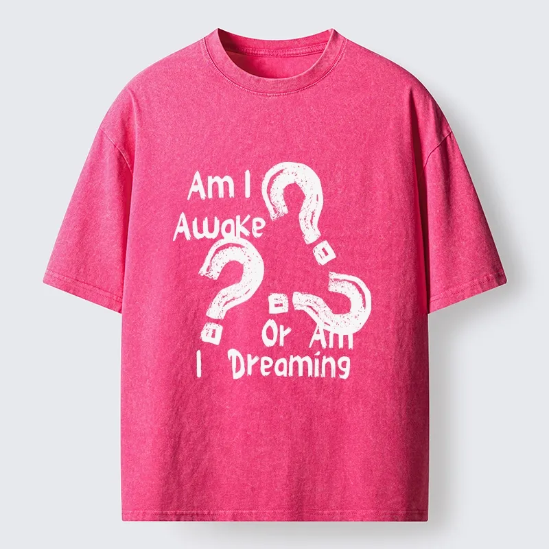 Tokyo-Tiger Mind Blown Awake Or Dreaming Washed T-Shirt