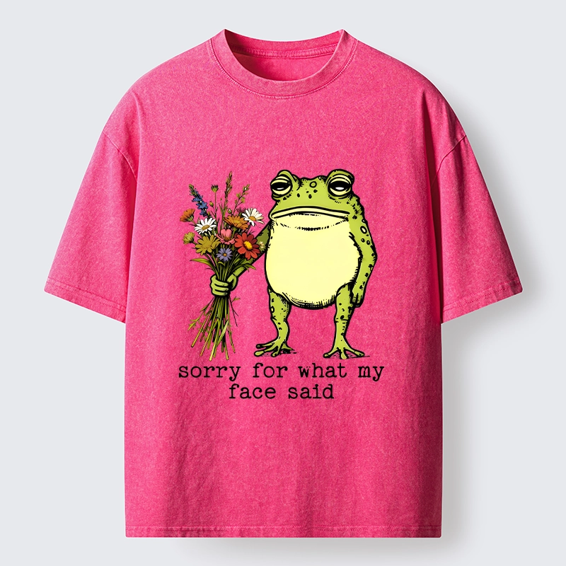 Tokyo-Tiger Frog Sorry Mode Activated Washed T-Shirt