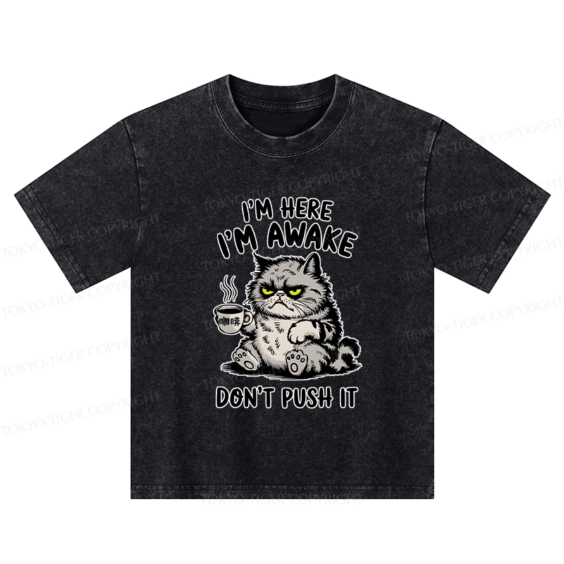 Tokyo-Tiger Tired Cat Kids Washed T-Shirt