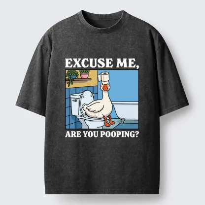 Tokyo-Tiger Are You Pooping Funny Washed T-Shirt