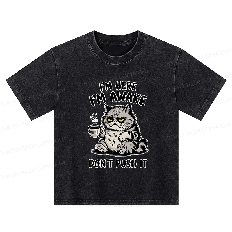 Tokyo-Tiger Tired Cat Kids Washed T-Shirt