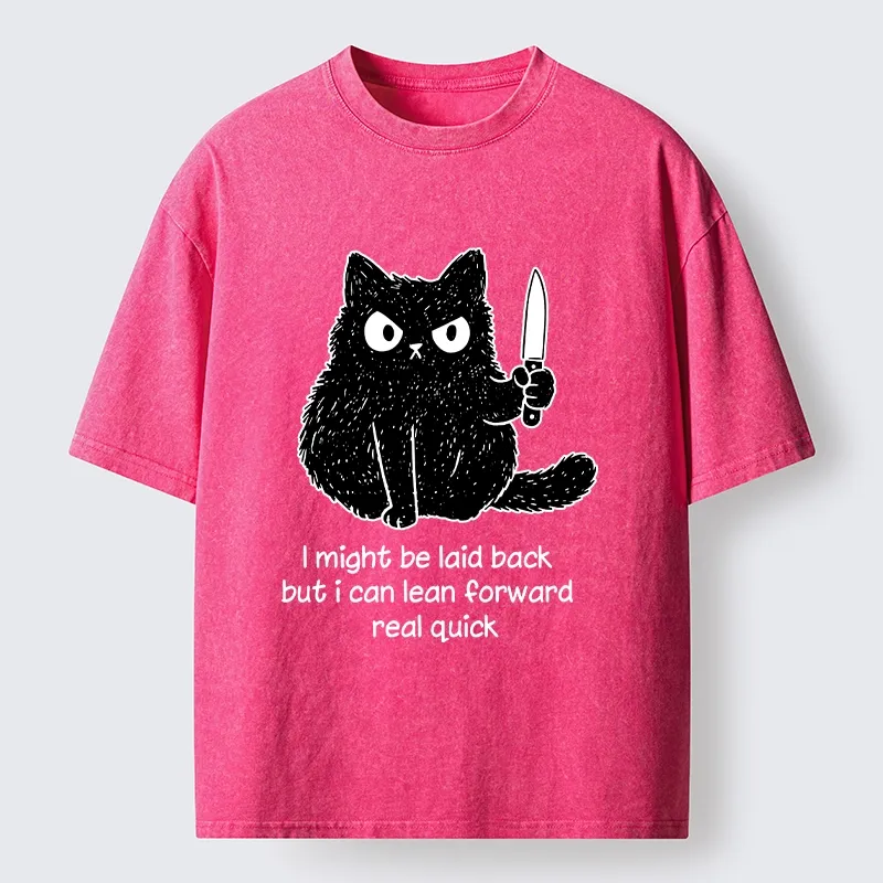 Tokyo-Tiger Dont Mess With This Cat Washed T-Shirt