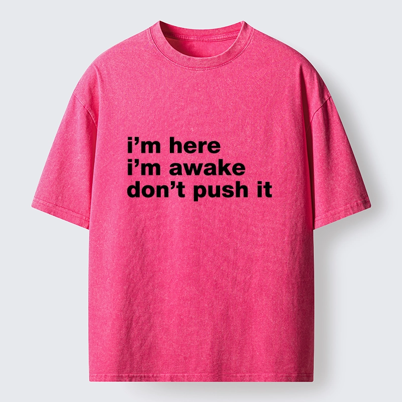 Tokyo-Tiger Awake But Not Ready Vibe Washed T-Shirt