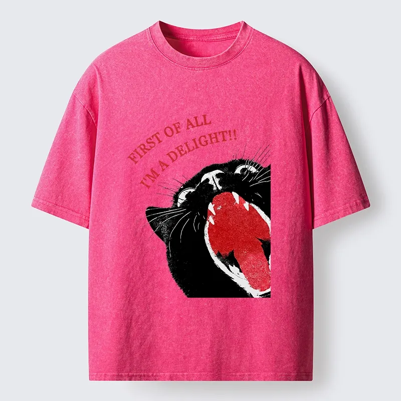 Tokyo-Tiger Funny Cat Yelling Quote Meme Washed T-Shirt