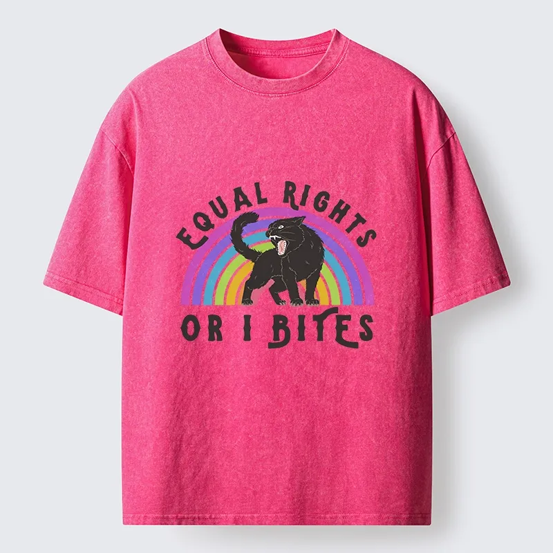 Tokyo-Tiger Rainbow Panther Equal Rights Washed T-Shirt