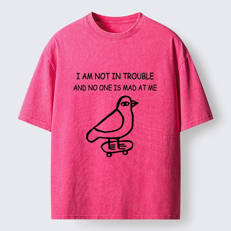 Tokyo-Tiger Bird Pretends It Did Nothing Wrong Washed T-Shirt