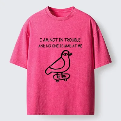 Tokyo-Tiger Bird Pretends It Did Nothing Wrong Washed T-Shirt
