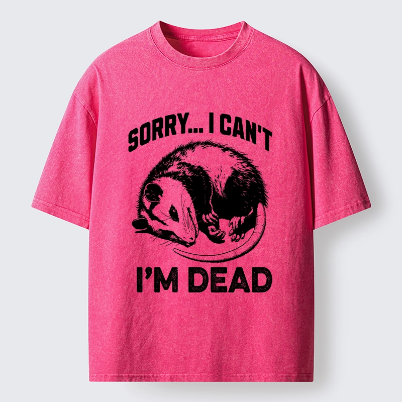 Tokyo-Tiger Funny Opossum Playing Dead Washed T-Shirt