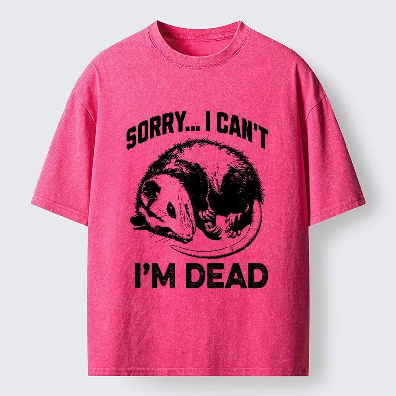 Tokyo-Tiger Funny Opossum Playing Dead Washed T-Shirt