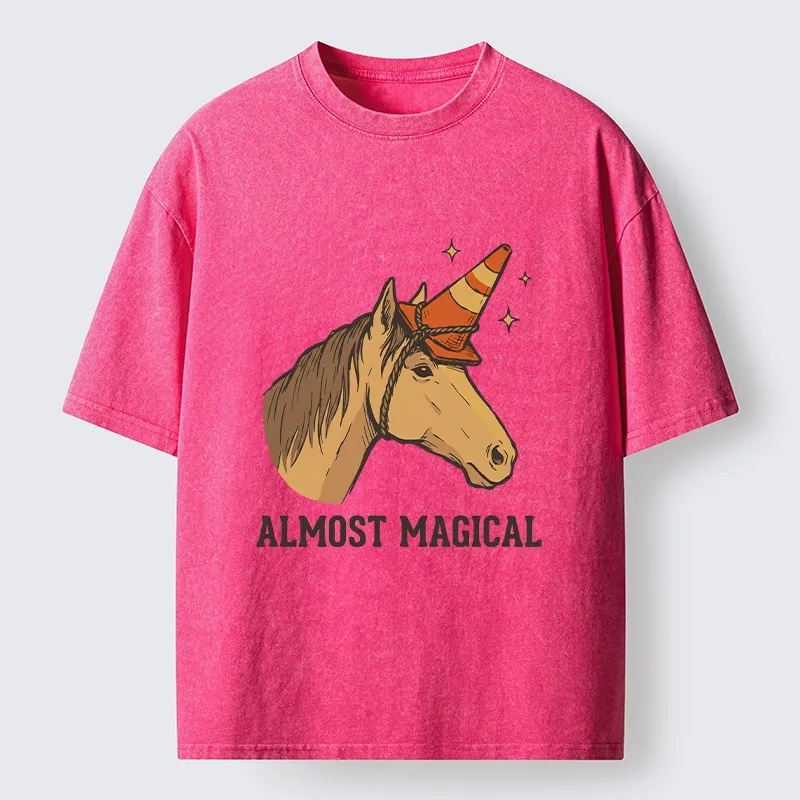 Tokyo-Tiger Silly Horse Trying To Be Magical Washed T-Shirt