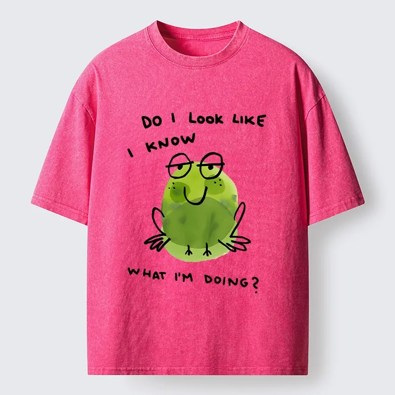 Tokyo-Tiger Little Green Frog Has No Idea What’s Next Washed T-Shirt