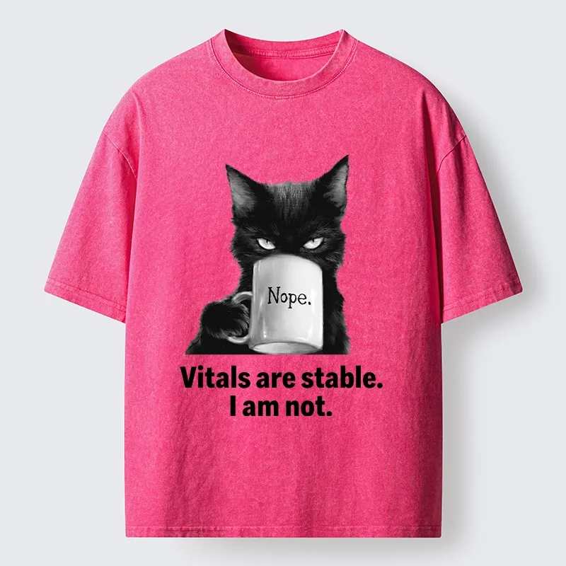 Tokyo-Tiger Grumpy Black Cat Coffee Meme Washed T-Shirt