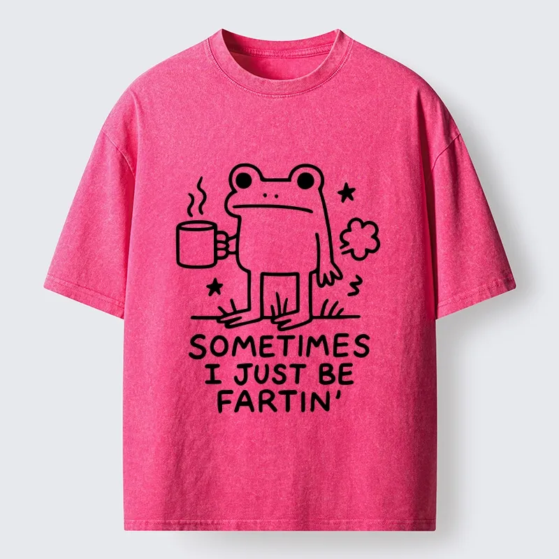 Tokyo-Tiger Sometimes A Frog Just Needs To Fart Washed T-Shirt