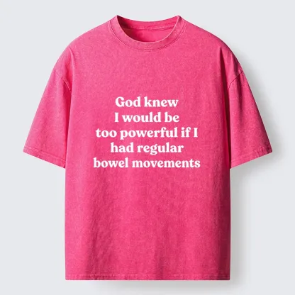 Tokyo-Tiger Funny Joke About Bowel Movements Washed T-Shirt