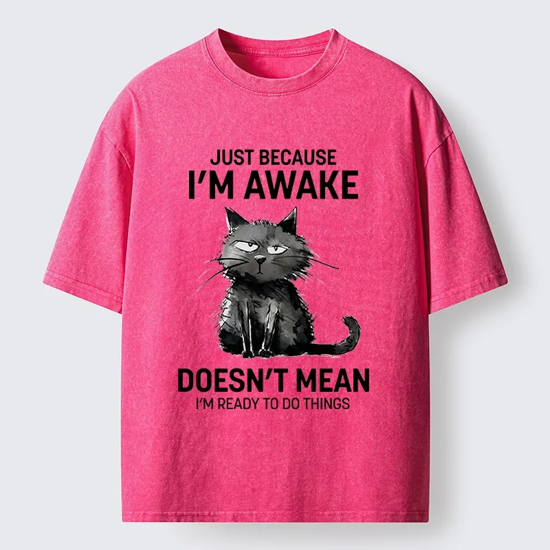 Tokyo-Tiger Grumpy Cat Not Ready To Do Things Washed T-Shirt