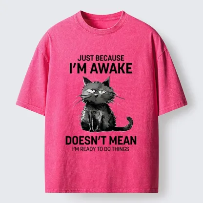 Tokyo-Tiger Grumpy Cat Not Ready To Do Things Washed T-Shirt