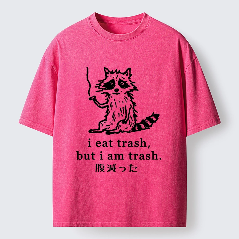 Tokyo-Tiger Raccoon’s Trashy Lifestyle Washed T-Shirt