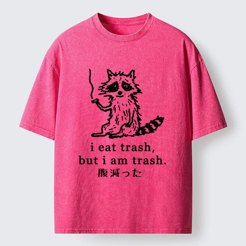 Tokyo-Tiger Raccoon’s Trashy Lifestyle Washed T-Shirt Sale