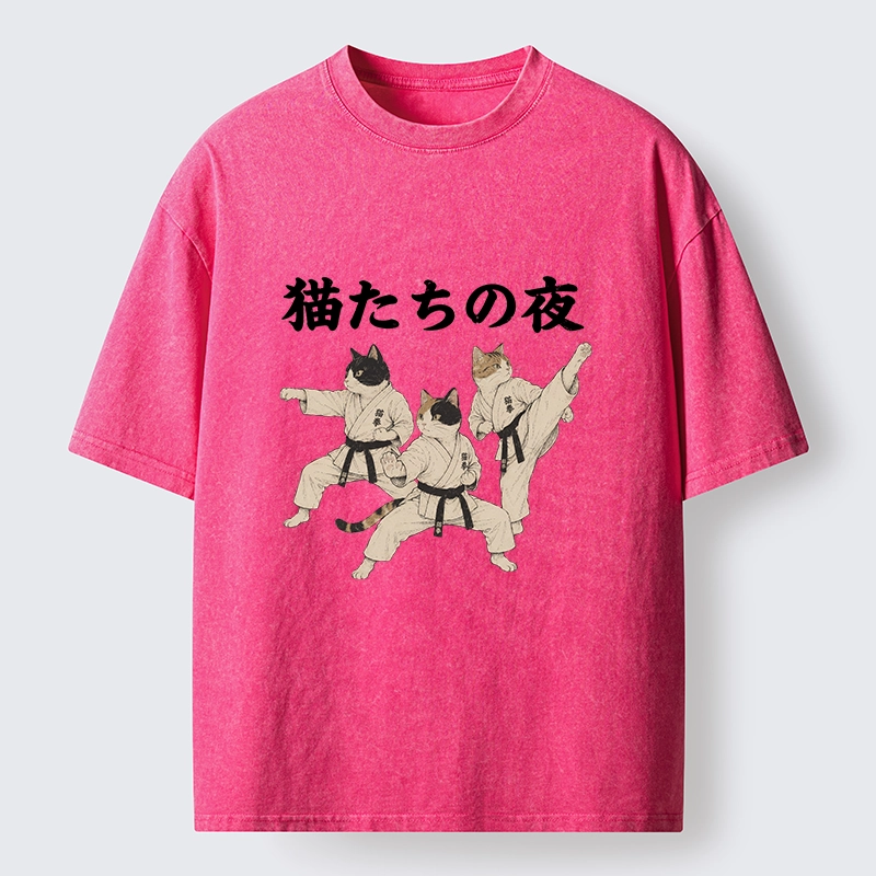 Tokyo-Tiger Funny Karate Cats Black Belt Meme Washed T-Shirt