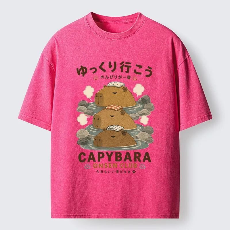 Tokyo-Tiger Hot Spring Life Slow Vibes Only Washed T-Shirt