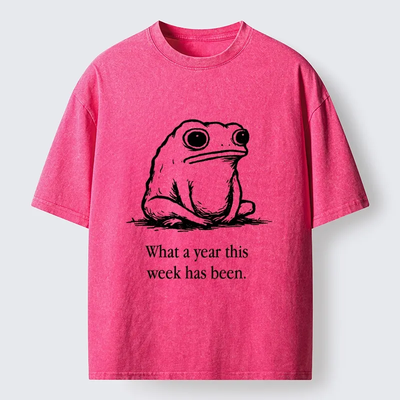 Tokyo-Tiger This Week Feels Like A Whole Year Washed T-Shirt