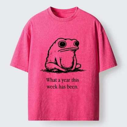 Tokyo-Tiger This Week Feels Like A Whole Year Washed T-Shirt