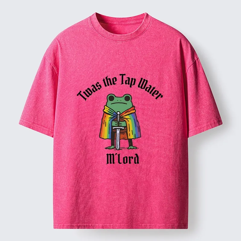 Tokyo-Tiger Funny Rainbow Cloak Frog With Sharp Sword Washed T-Shirt