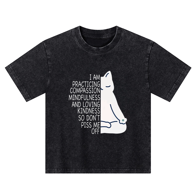 Tokyo-Tiger Calm Black Cat With Anger Issues Kids Washed T-Shirt