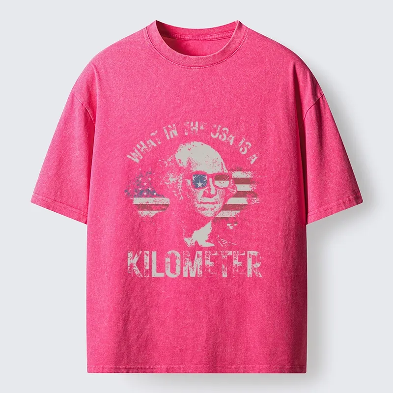 Tokyo-Tiger Patriotic Flag Lens Washington Humor Design Washed T-Shirt