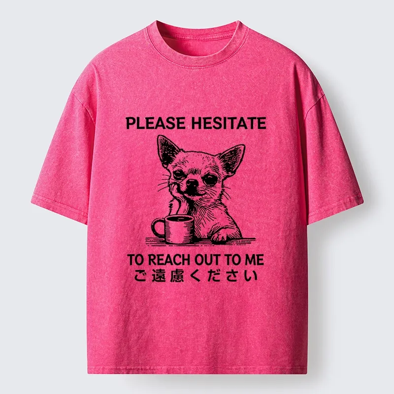 Tokyo-Tiger Little Dog Prefers Being Left Alone Washed T-Shirt