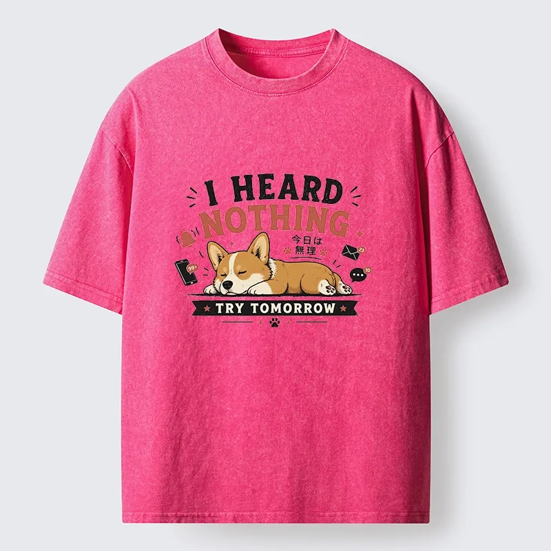Tokyo-Tiger I Heard Nothing Today Washed T-Shirt