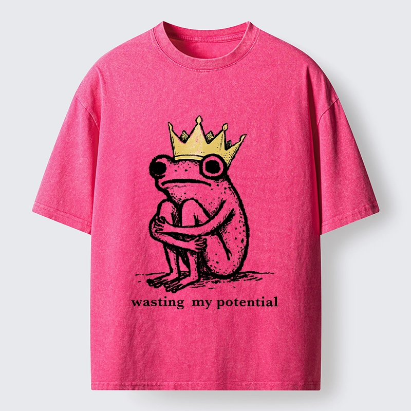 Tokyo-Tiger Crown Frog Wasted Potential Meme Washed T-Shirt