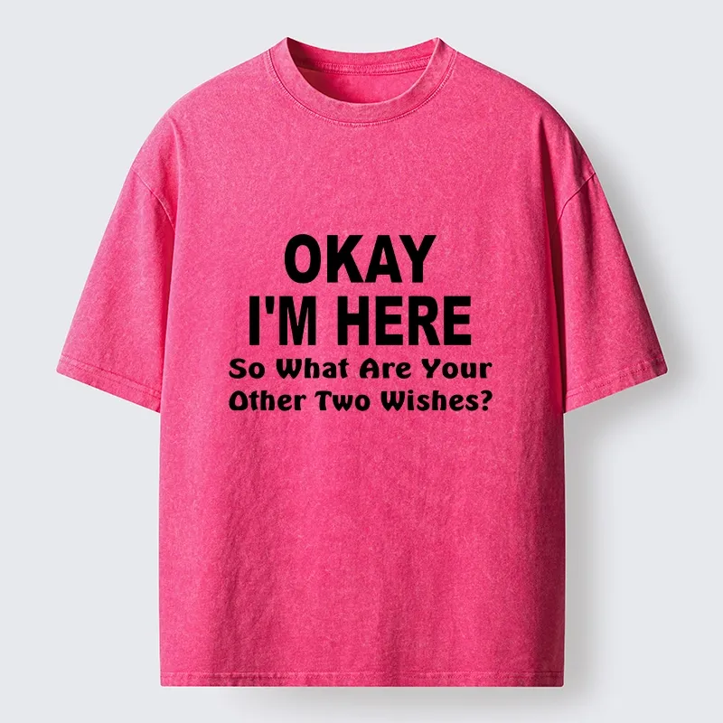 Tokyo-Tiger Meme Vibes Of Three Magic Wishes Washed T-Shirt