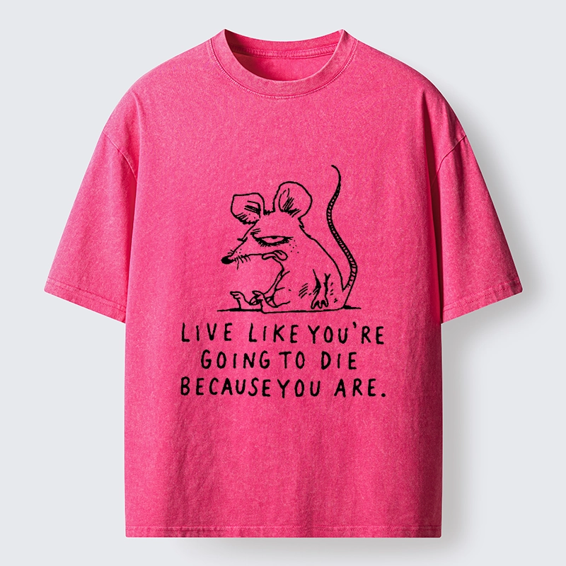 Tokyo-Tiger Funny Meme Sarcastic Rat Life Truth Washed T-Shirt