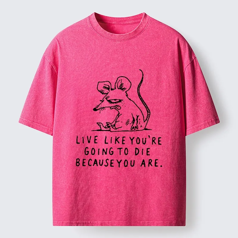 Tokyo-Tiger Funny Meme Sarcastic Rat Life Truth Washed T-Shirt