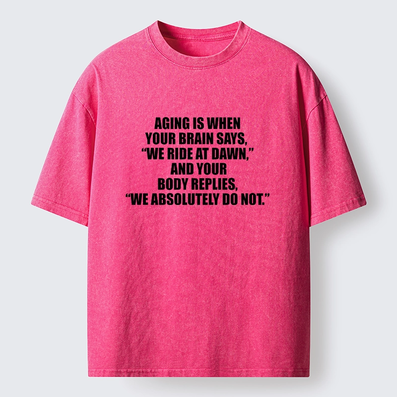 Tokyo-Tiger Funny Aging Brain Body Meme Washed T-Shirt