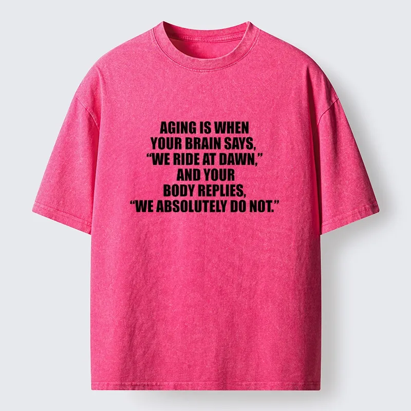 Tokyo-Tiger Funny Aging Brain Body Meme Washed T-Shirt