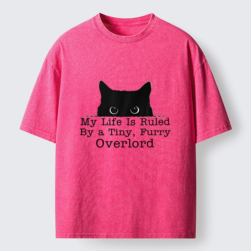 Tokyo-Tiger Cat Rules Human Life Simple Graphic Washed T-Shirt