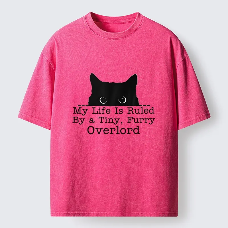 Tokyo-Tiger Cat Rules Human Life Simple Graphic Washed T-Shirt