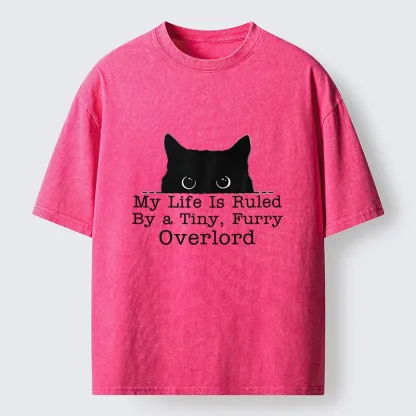 Tokyo-Tiger Cat Rules Human Life Simple Graphic Washed T-Shirt