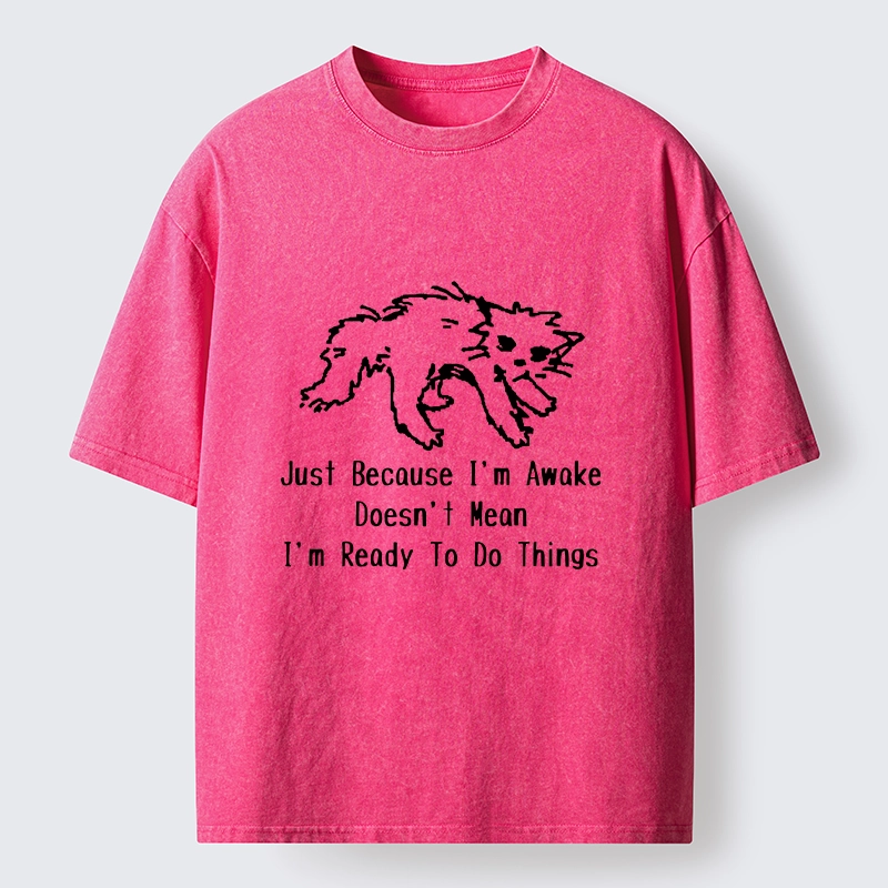 Tokyo-Tiger Chill Tired Cat Slow Lazy Life Art Washed T-Shirt