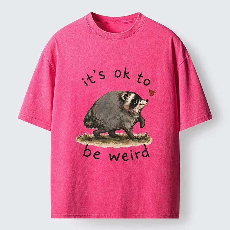 Tokyo-Tiger Jimothy Weird Raccoon Art Washed T-Shirt