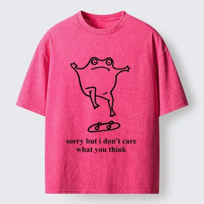 Tokyo-Tiger Skate Frog No Worries Art Washed T-Shirt