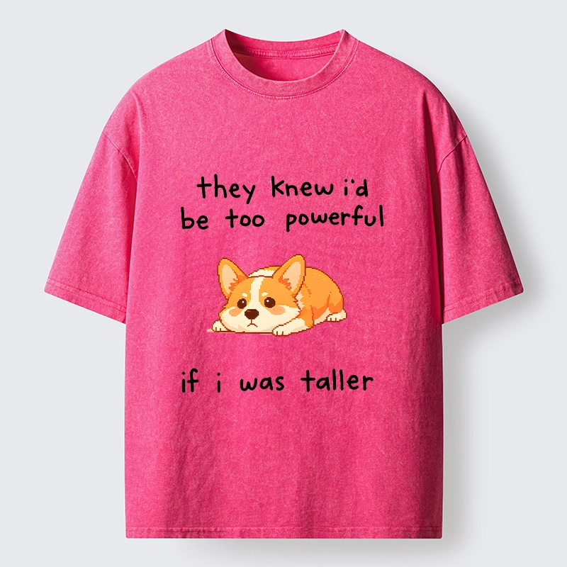 Tokyo-Tiger Funny Short Dog Joke Washed T-Shirt