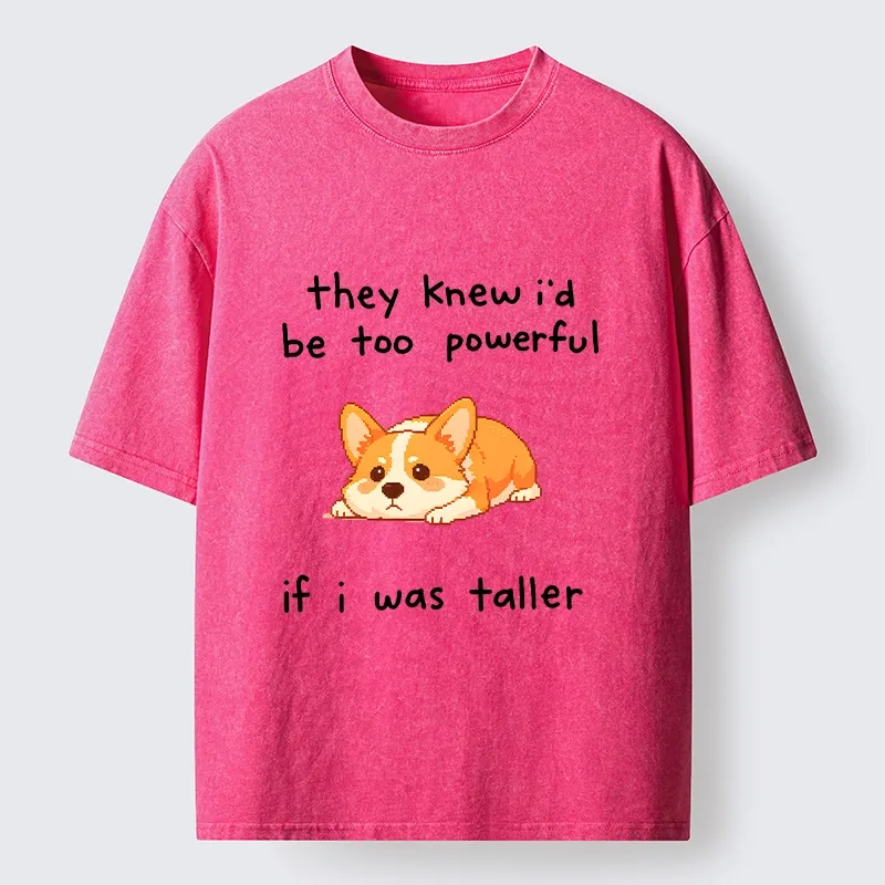 Tokyo-Tiger Funny Short Dog Joke Washed T-Shirt