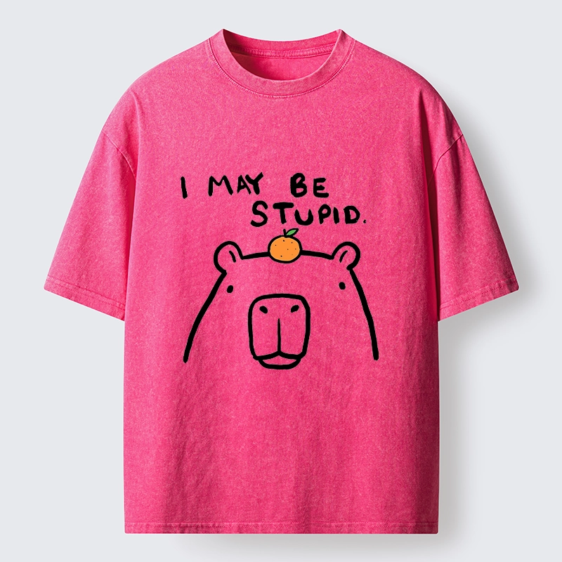 Tokyo‑Tiger Funny Capybara Orange Washed T‑Shirt