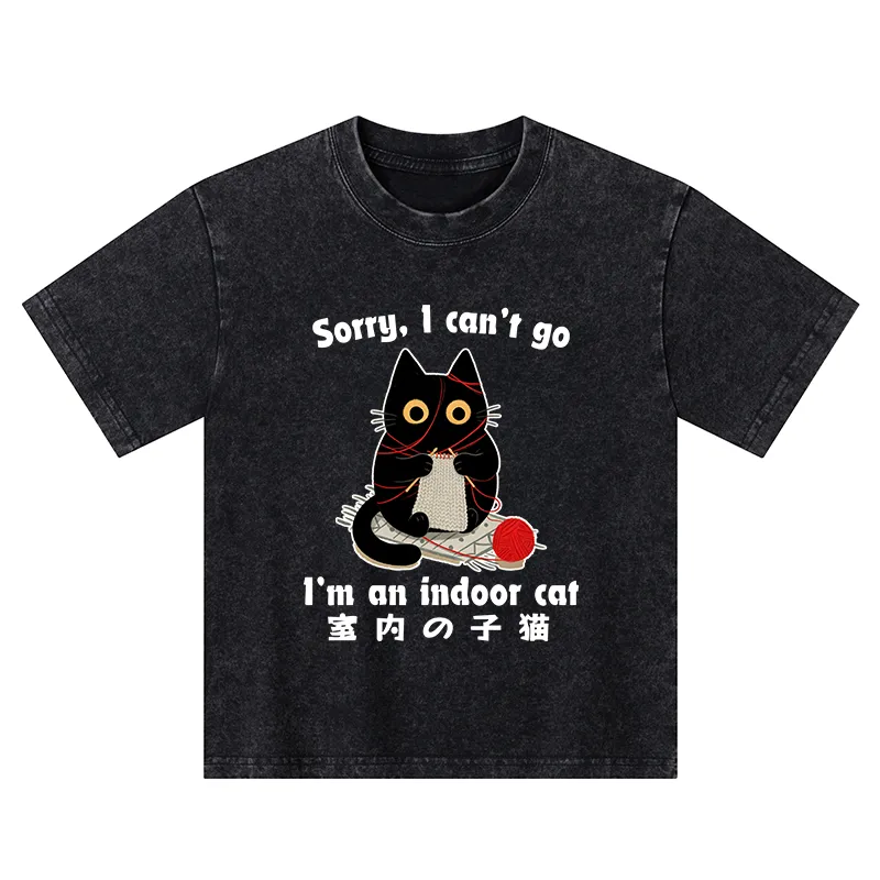 Tokyo-Tiger Indoor Cat Meme Kids Washed T-Shirt